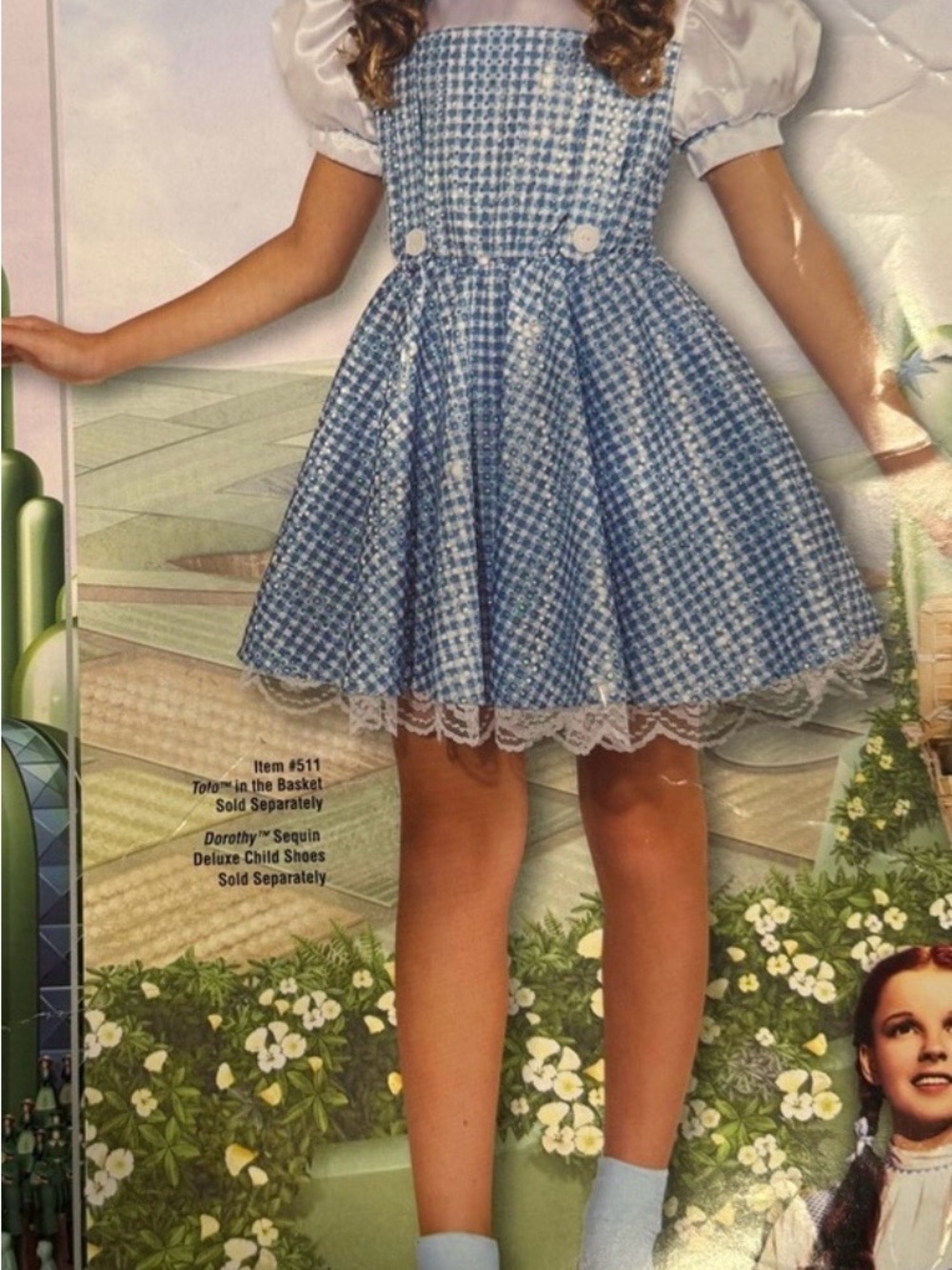 Rubie's Dorothy Wizard of Oz Girl's Small Costume Dress Halloween Sparkly